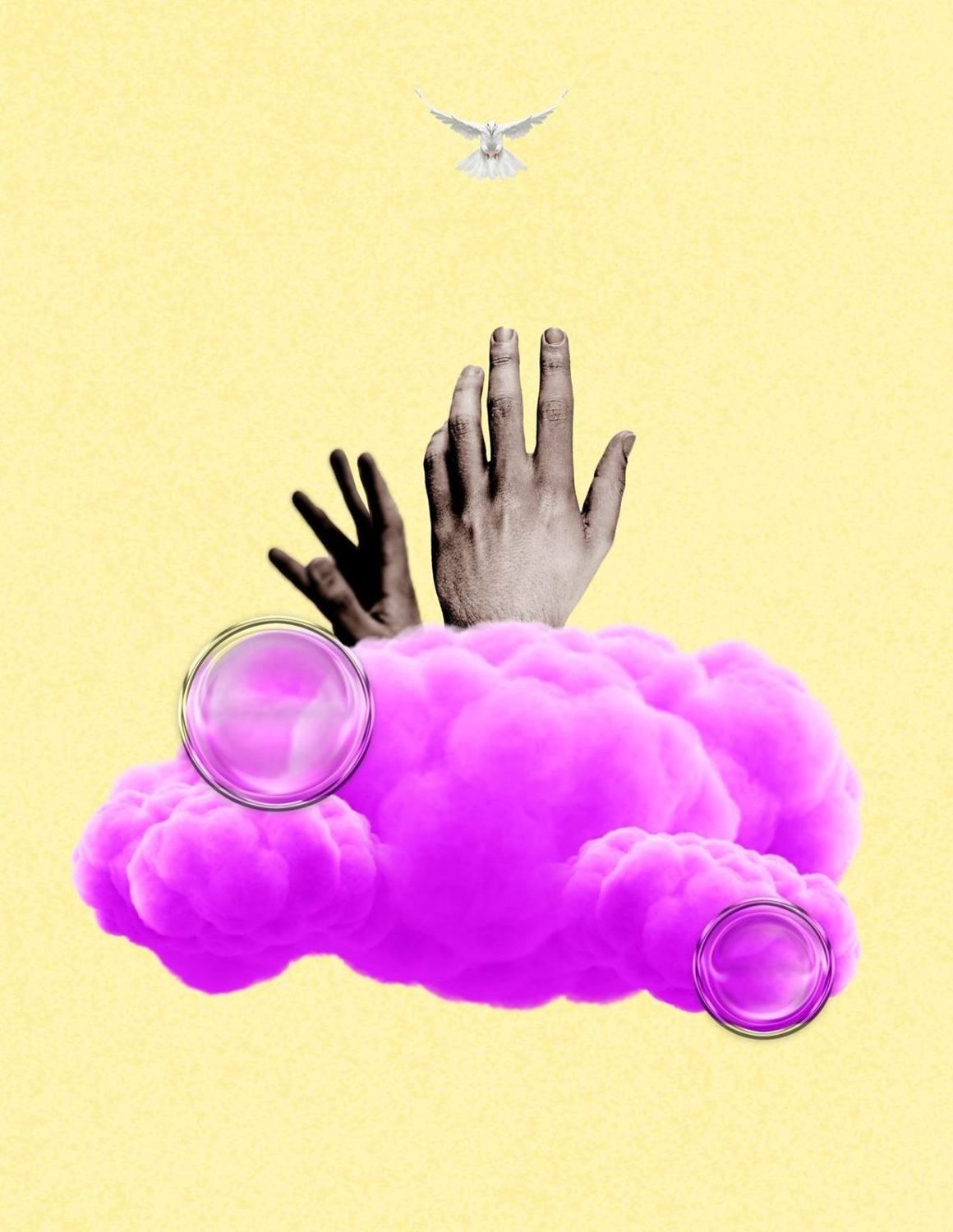 The Evelation key artwork